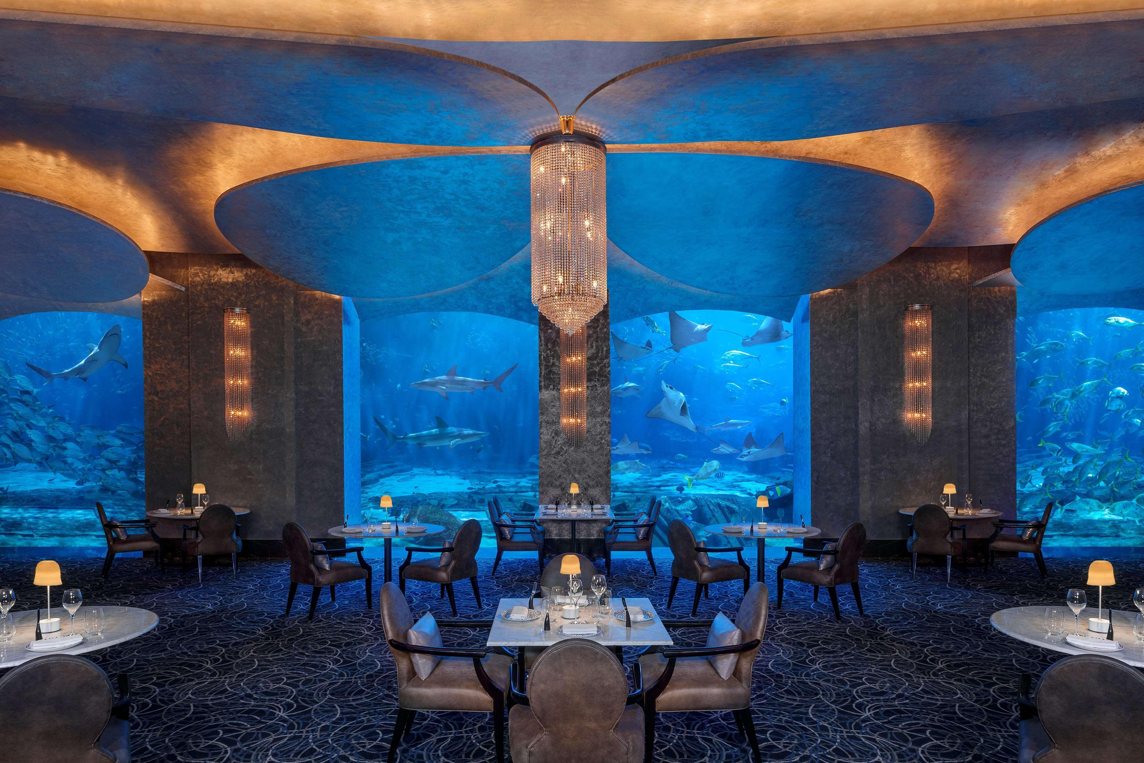 Atlantis the palm